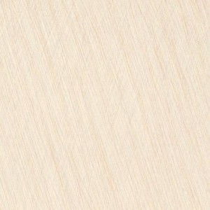 Gạch lát sàn Trường Thịnh MIXSTONE C6111